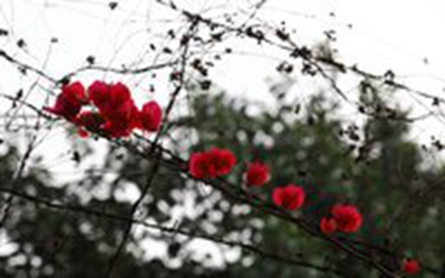 情感说说伤感感悟