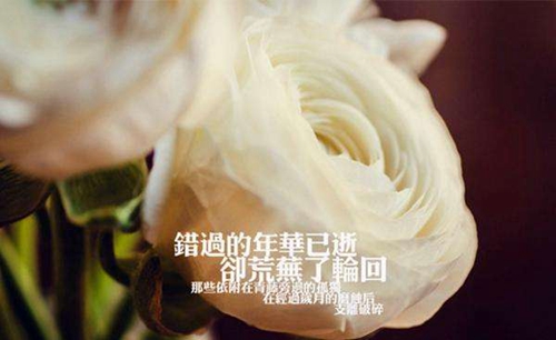 表白的话语与贺卡内容