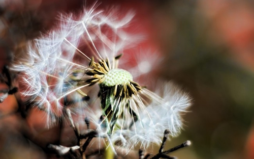 赞美教师节的句子经典