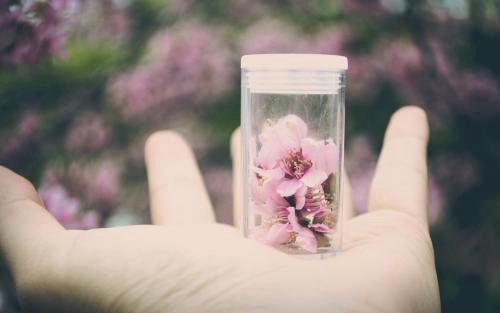 季节的情话