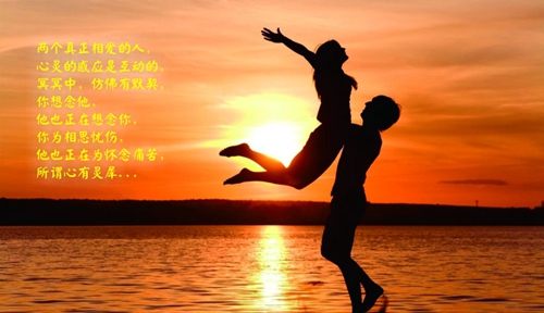 语文大师撩妹情话