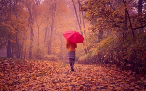 下雨经典的句子说说心情