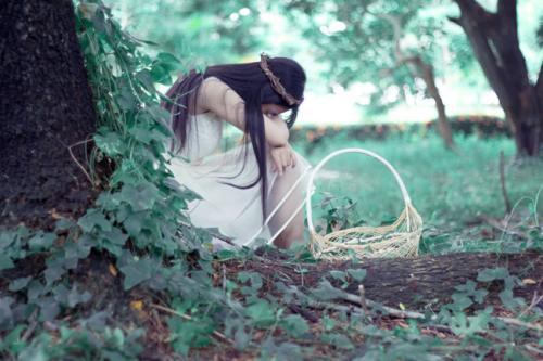 绿茶婊 紫菱