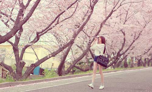 同花顺跟通达信哪个好用，同花顺、通达信、东方财富、指南针等，哪个炒股软件最好用呢