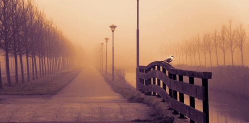 心情的说说带图片