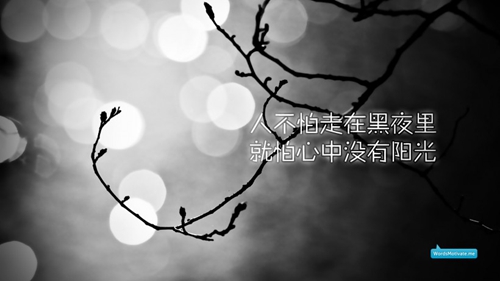 关于后又的说说句子