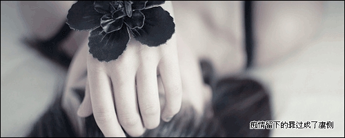 关于向往的说说句子