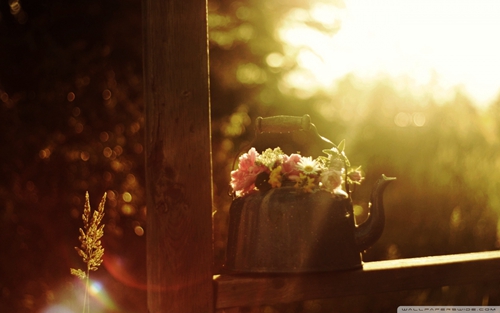 周末海边朋友圈说说 周末海边朋友圈说说