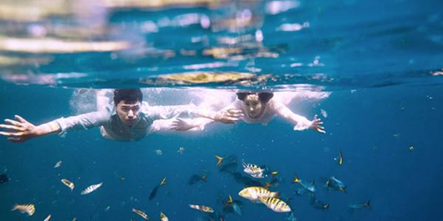 浪漫的情话短语大全