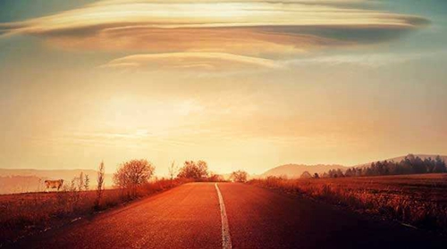 描写花开了的句子 描写花开了的句子