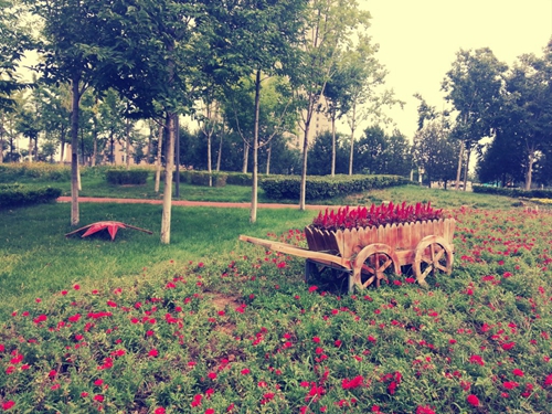 推销健身卡的搞笑语句（楚辞经典句子）