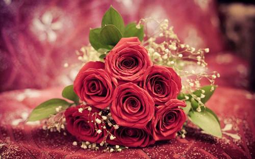 《送给新婚夫妇的高级祝福语》精选25句 《送给新婚夫妇的高级祝福语》精选25句
