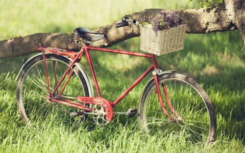 蓝天白云的爱情说说 蓝天白云的爱情说说