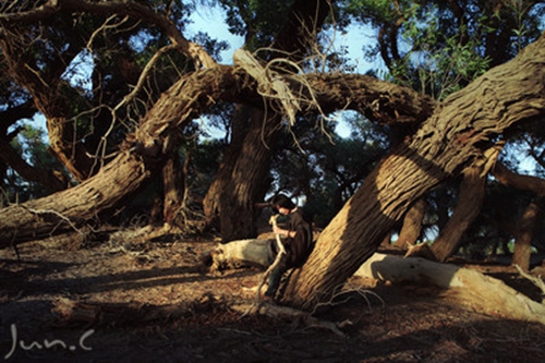 剑袍这本书的优美语句和读后感 剑袍这本书的优美语句和读后感