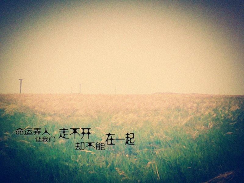 关于真挚的爱情唯美句子（被婆家伤透了心）