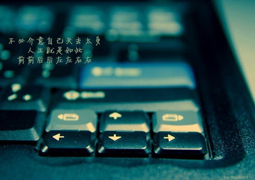 好听的昵称女生小清新淡雅可爱（精选10组）