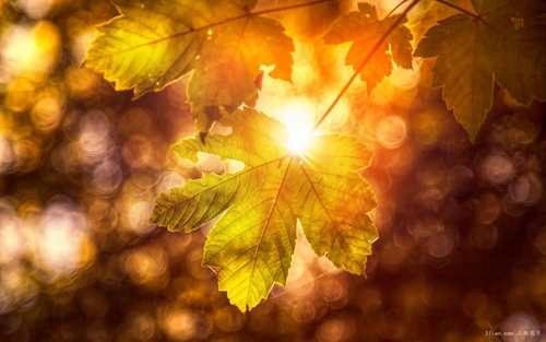 姐妹俩的网名（安徽宣城的香香的网名个性签名）