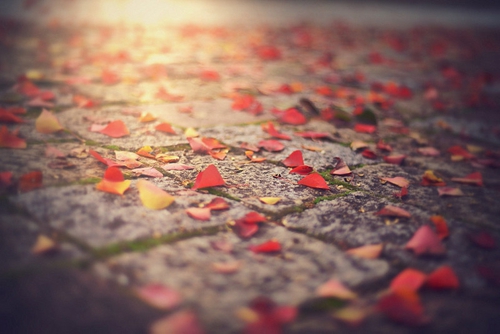 余额的说说2025 余额的说说2025