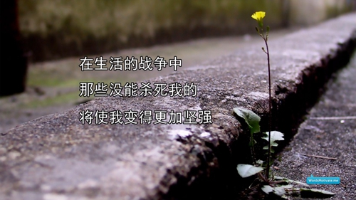 幽默风趣的语言