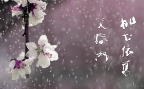 春暖花开奔你而唯美句子