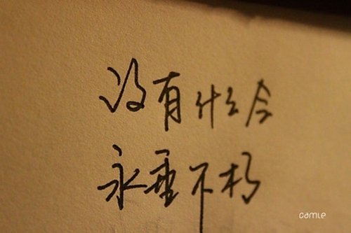 流行语句爱情句子
