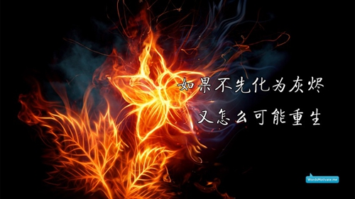 故事 说说