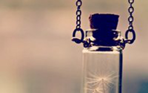 关于各种花的表白句子