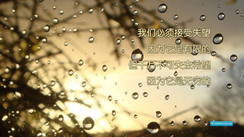 最后的教父经典句子