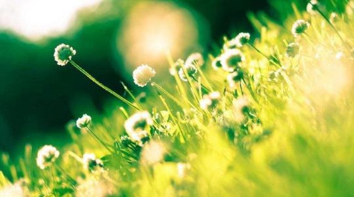 简短情话100句_最新信息