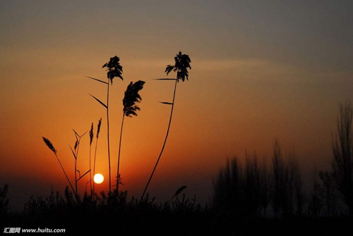 教师节贺卡祝福语老师图片