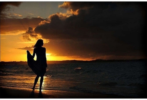 用中药取qq网名