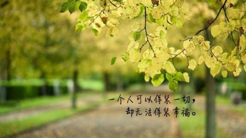 妻子送老公生日祝福语