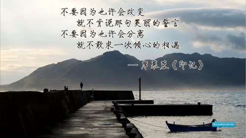 关于不要的精美句子