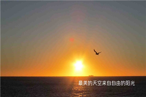 描写风的表达伤感的句子