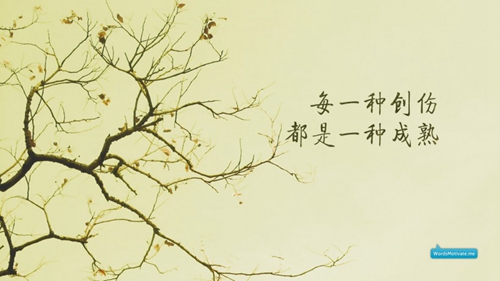 幸福一年又一年类似的句子