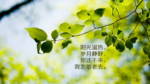 春季快乐的优美句子10字