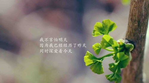 英文永远18岁