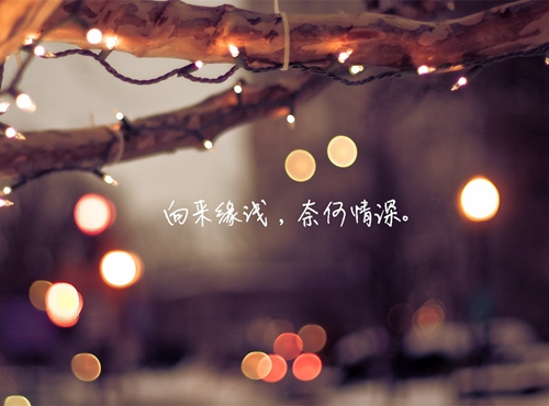 鲜花盛放优美句子图片