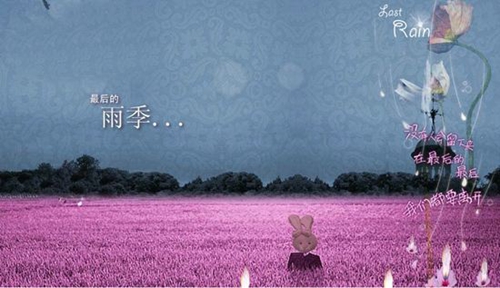 霸气的感情句子短句