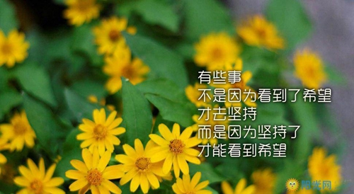 男生好听快手网名