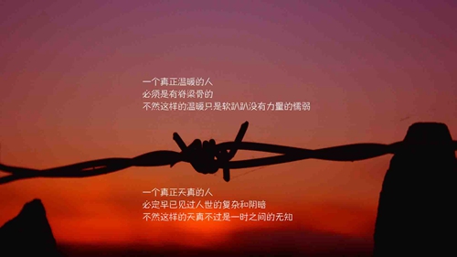 纹身一句话爱情经典语录
