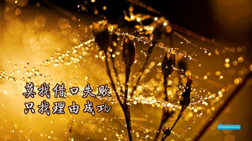 2026形容聊天的撩男朋友情话
