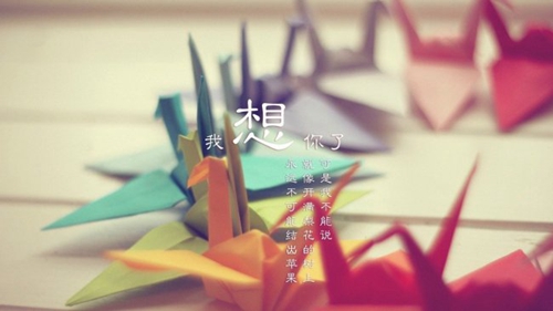 没有华丽的语言下一句怎么说?