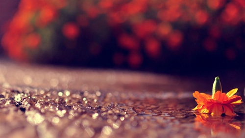 熊出没之熊大快跑@熊出没之熊大快跑怎么样